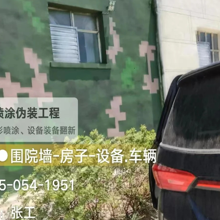 咸阳数码迷彩漆施工